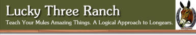 Lucky Three Ranch - Everything you need to understand and train your mule or donkey.