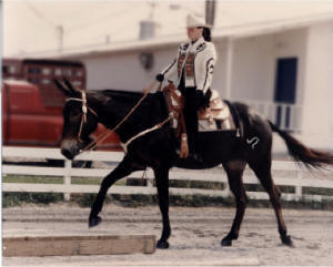 GREAT CELEBRATION MULE SHOW